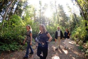 Nature Hikes Nature Hikes