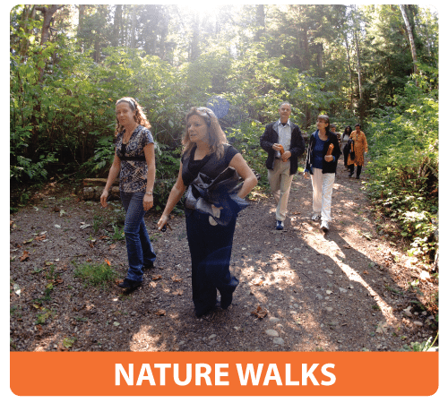 Health Retreat Nature Walks