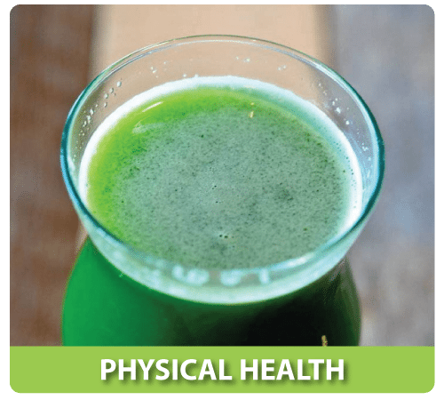 PHYSICAL-HEALTH