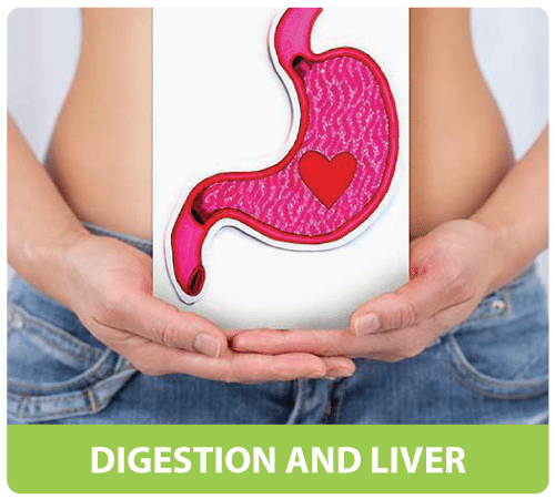 TREATMENT OF DIGESTION AND LIVER ISSUES HEALTH RETREAT 