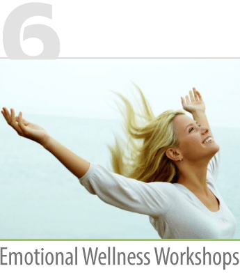 Emotional Wellness Workshops