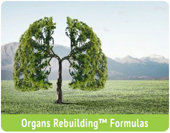 Organs Rebuilding Formulas