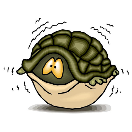 turtle-round Fear can save your life